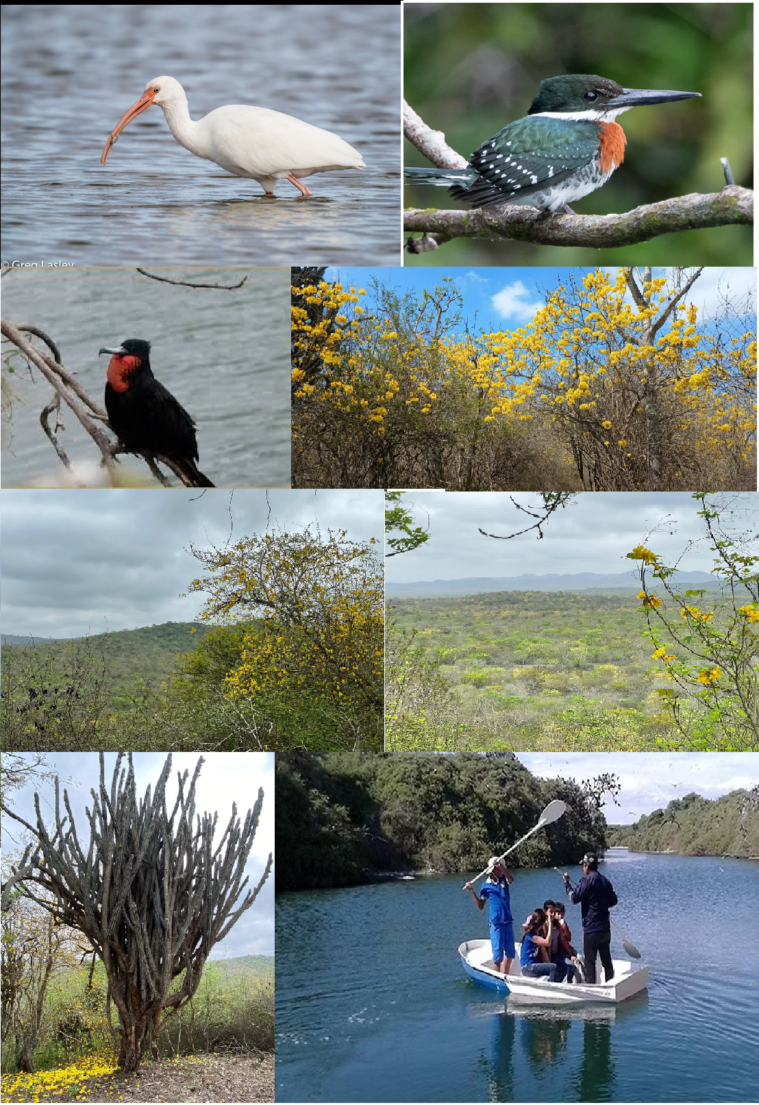 Fauna y Flora Parroquia Chanduy